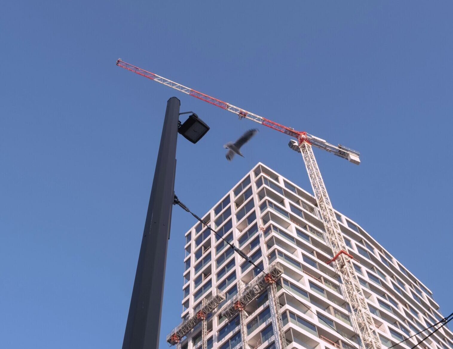 thomas-dumortier-7VkpRQwbgn4-unsplash